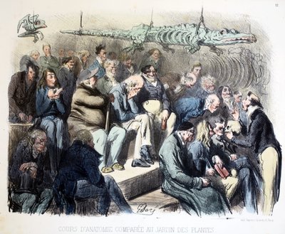 Corso di anatomia comparata al giardino delle piante, I diversi pubblici di Parigi, 1854 da Gustave Dore
